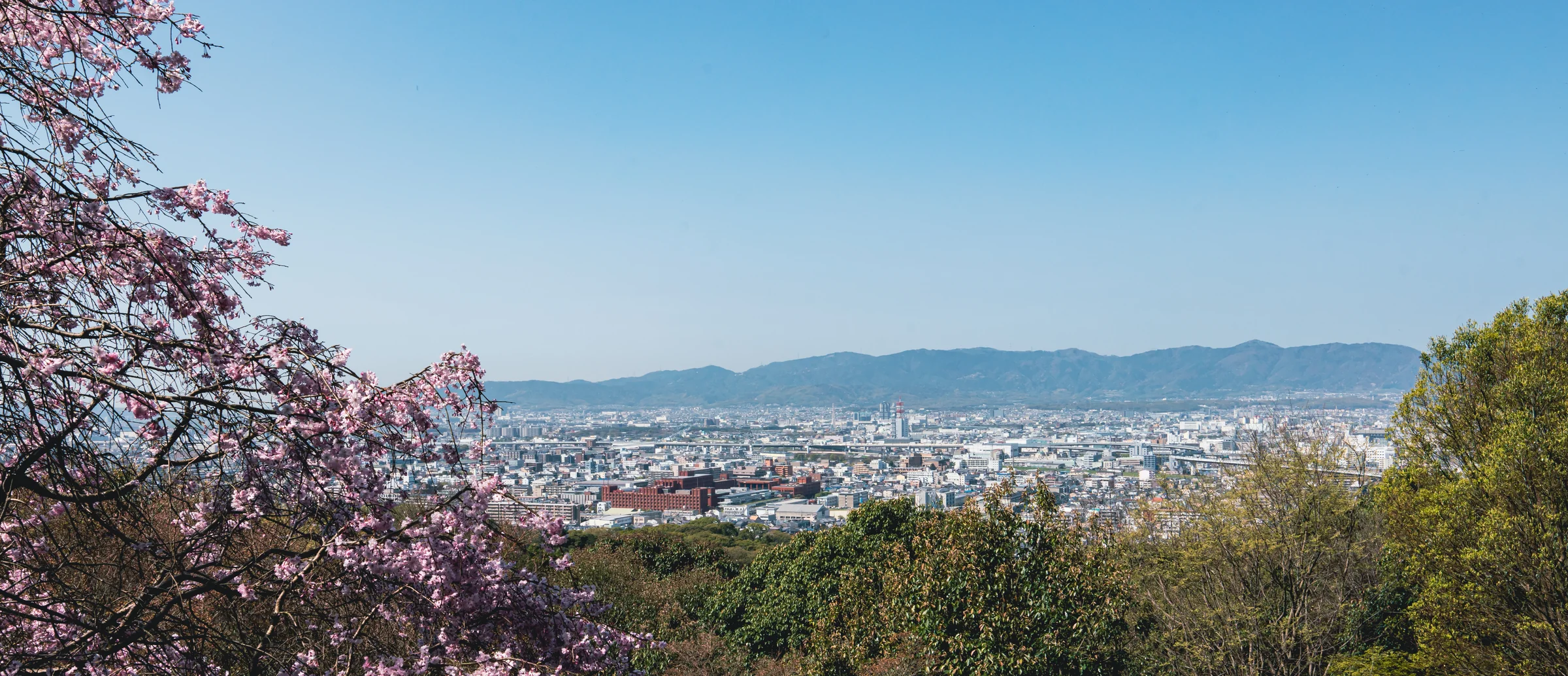 Japan, photograph 18 of 28, by Sam Rose.
