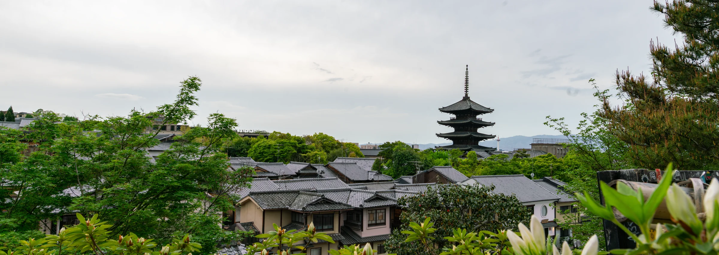 Japan, photograph 17 of 30, by Sam Rose.