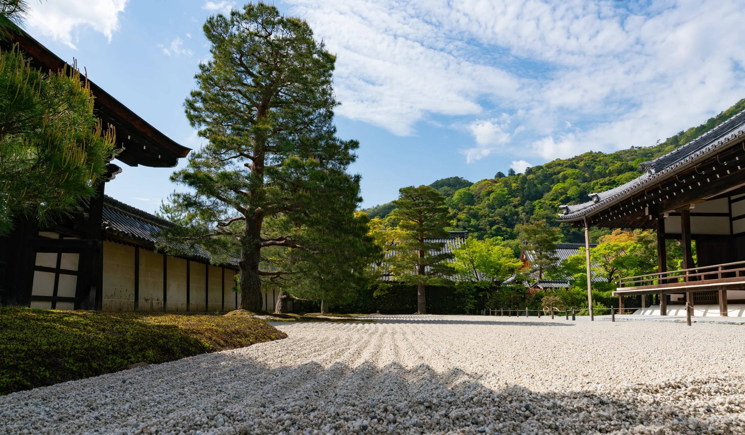 Japan, photograph 12 of 30, by Sam Rose.