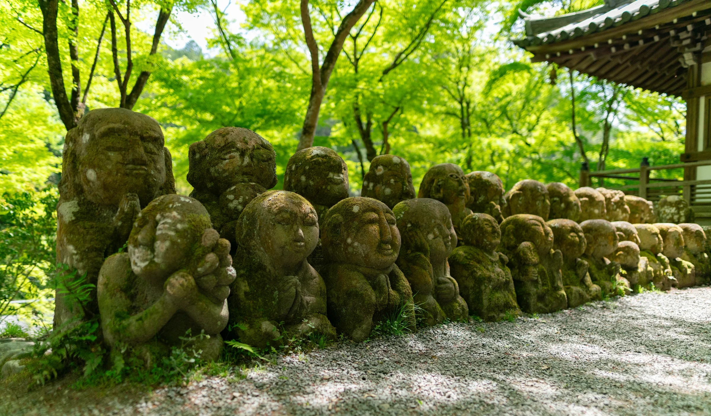 Japan, photograph 9 of 30, by Sam Rose.