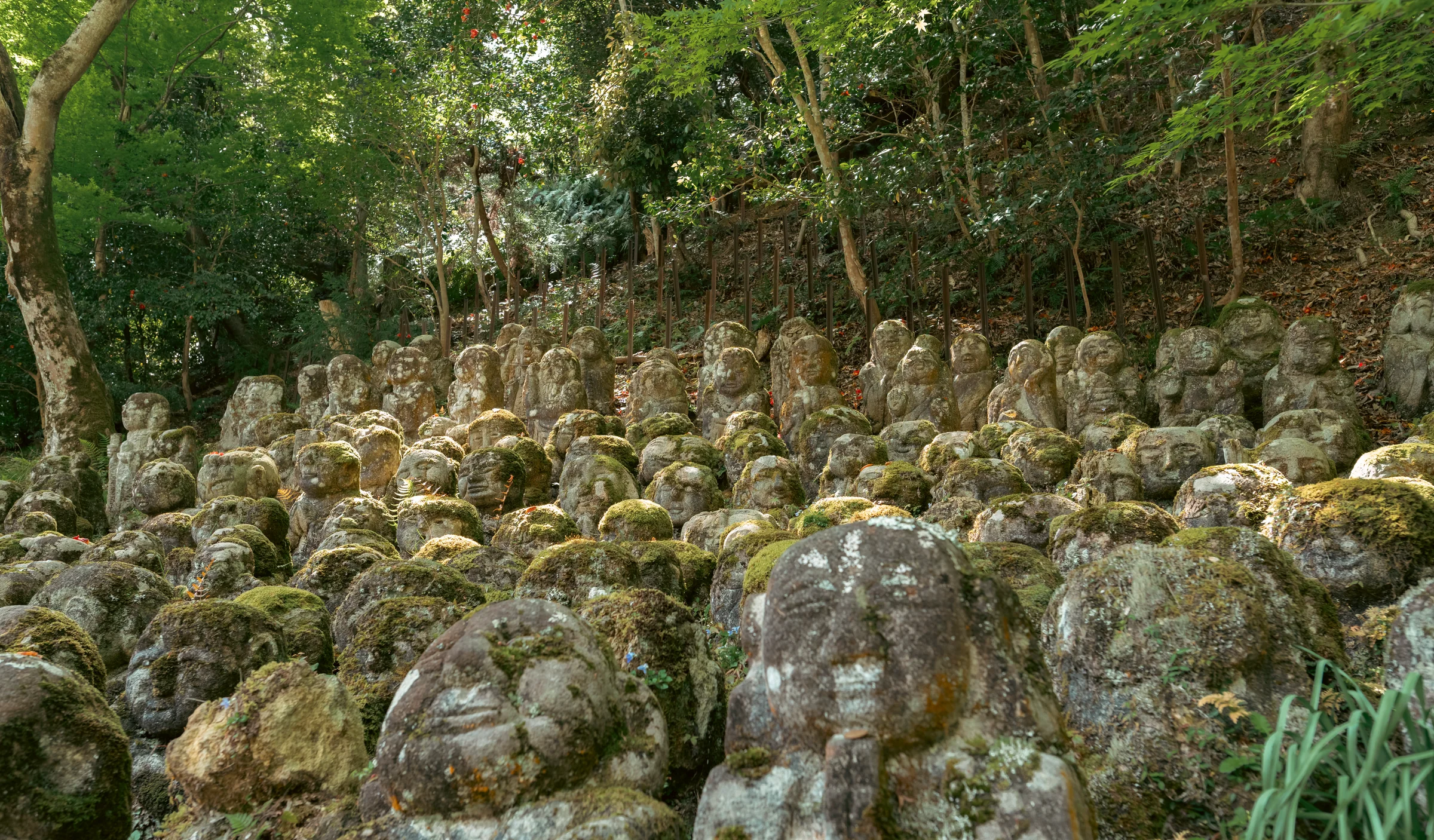 Japan, photograph 8 of 30, by Sam Rose.