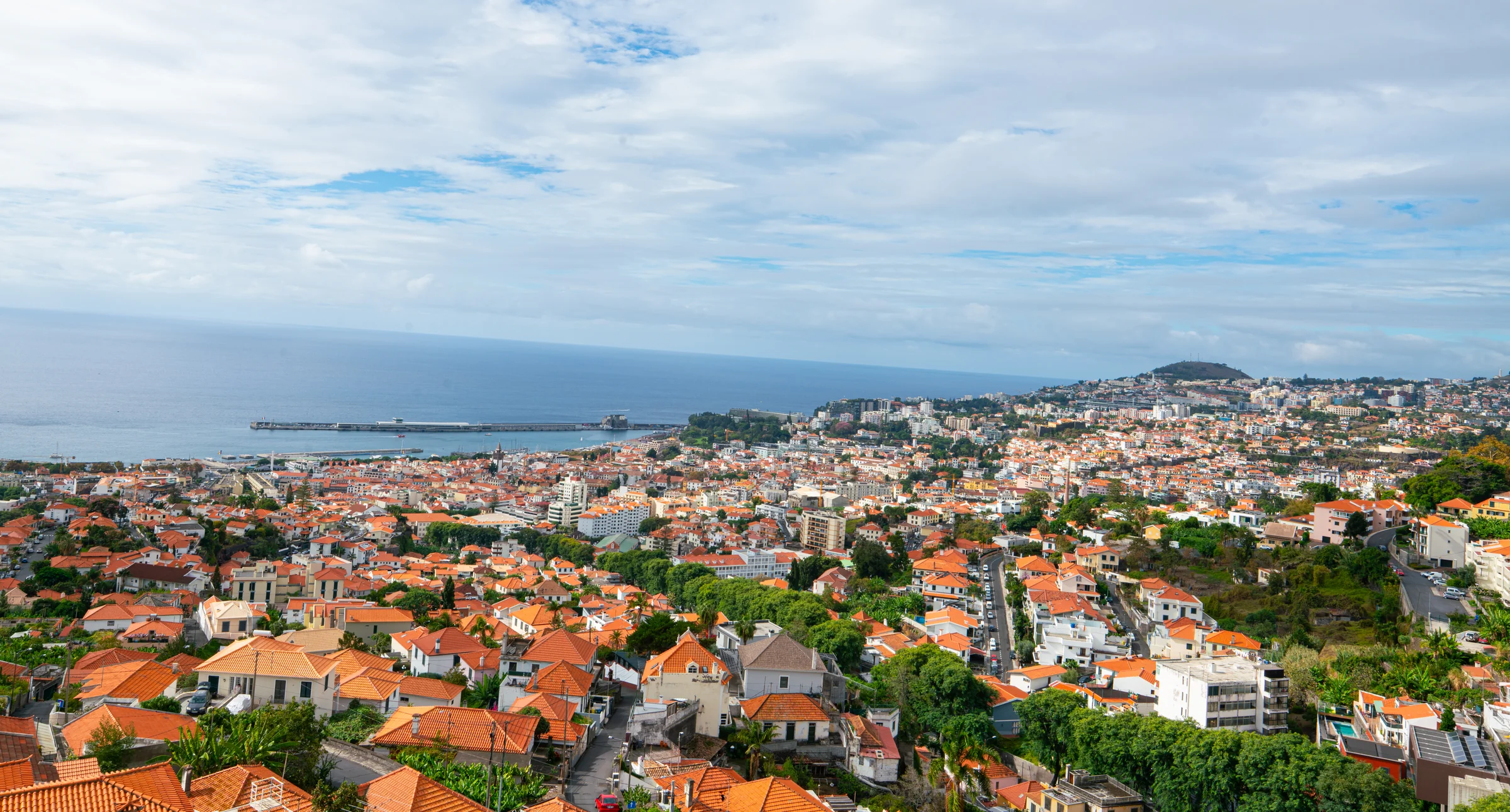 Madeira, photograph 18 of 26, by Sam Rose.