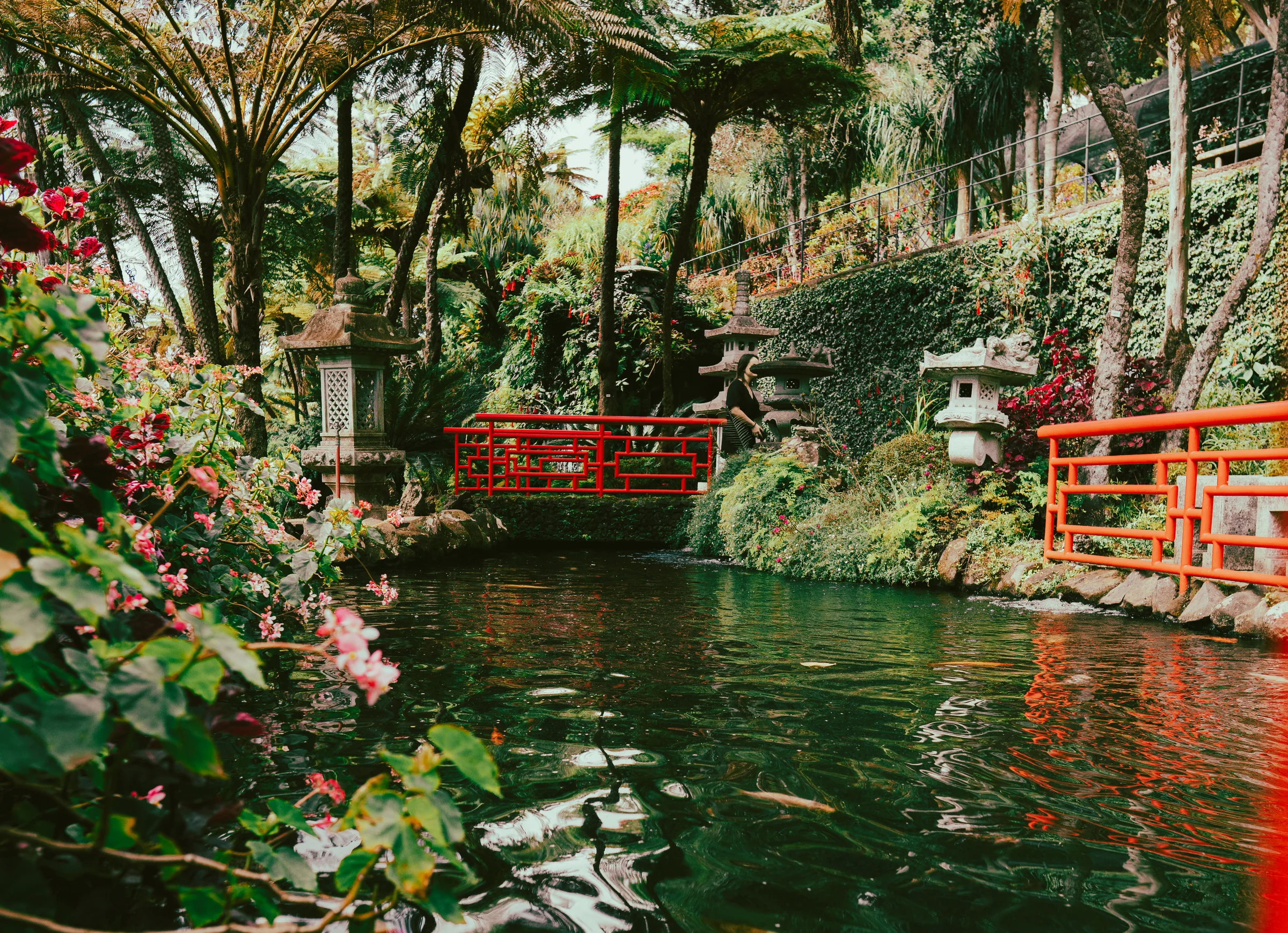 Madeira, photograph 12 of 26, by Sam Rose.