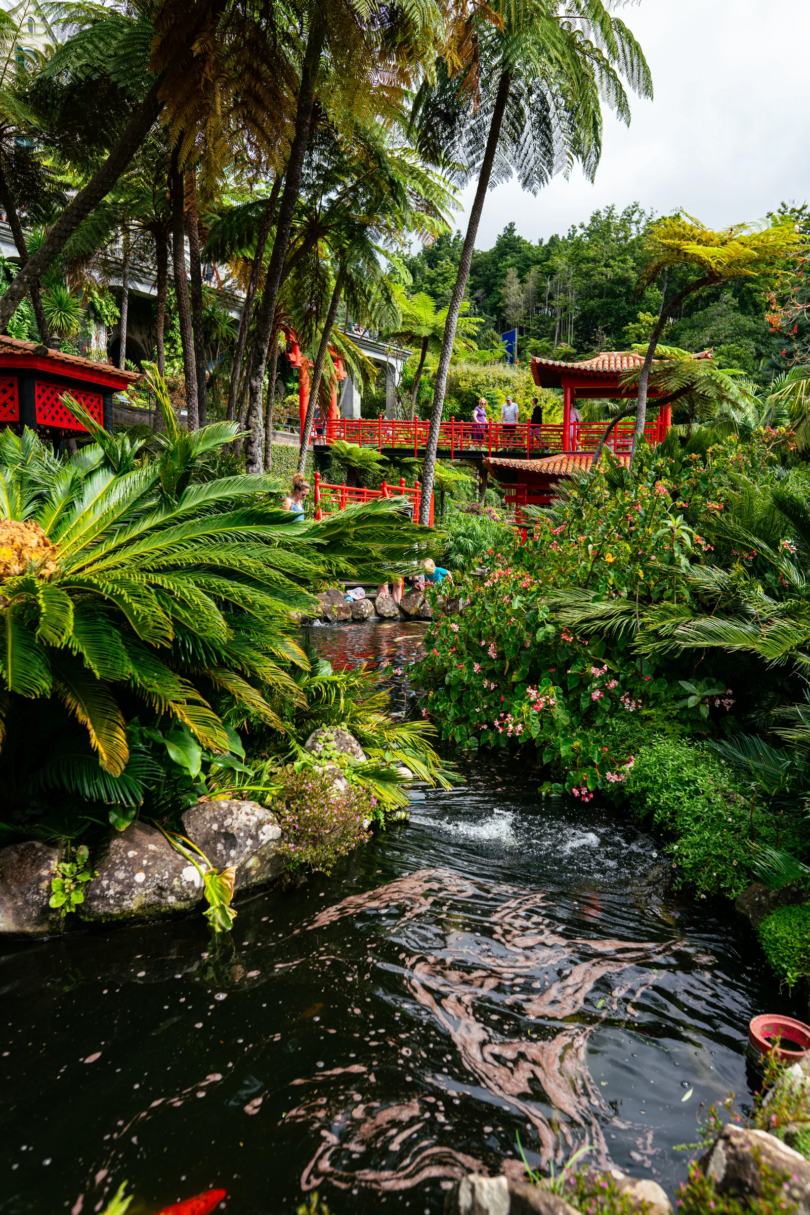 Madeira, photograph 11 of 26, by Sam Rose.