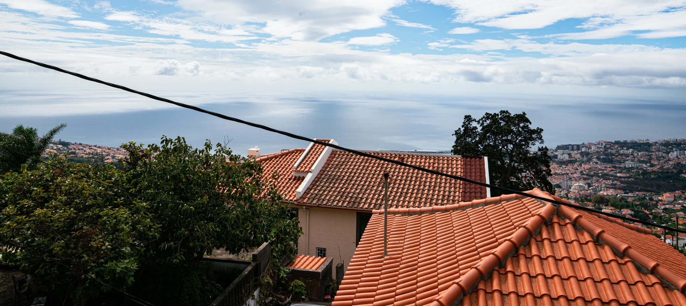 Madeira, photograph 8 of 26, by Sam Rose.