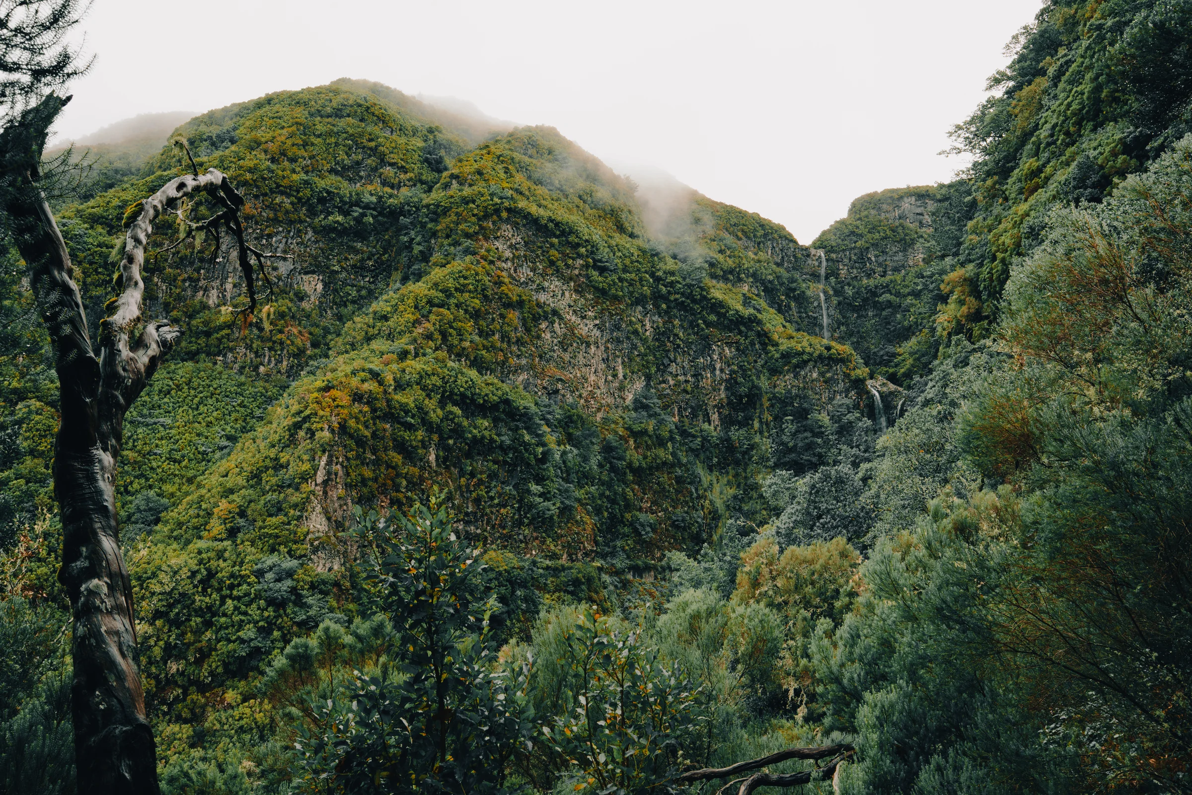 Madeira, photograph 7 of 26, by Sam Rose.