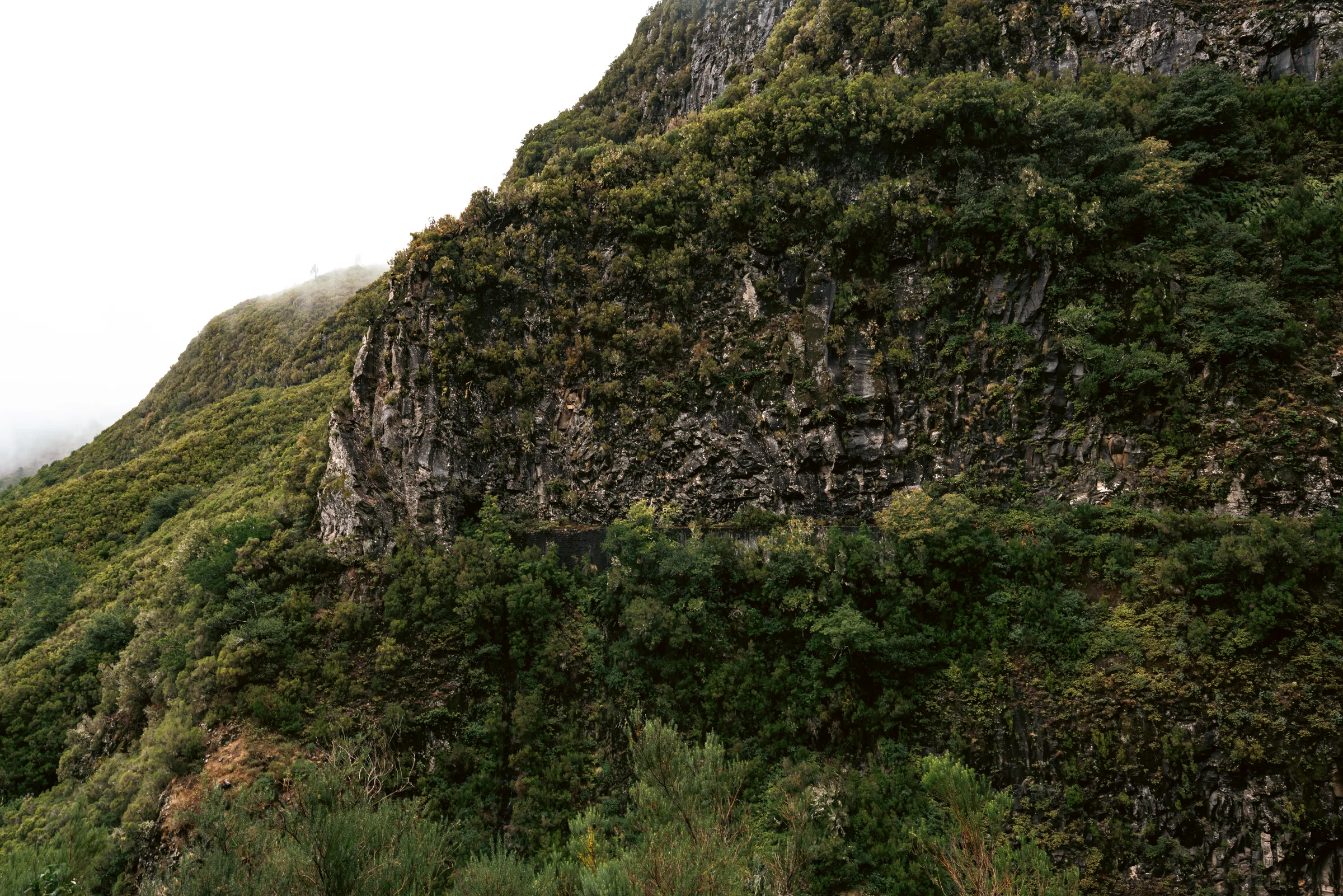 Madeira, photograph 6 of 26, by Sam Rose.