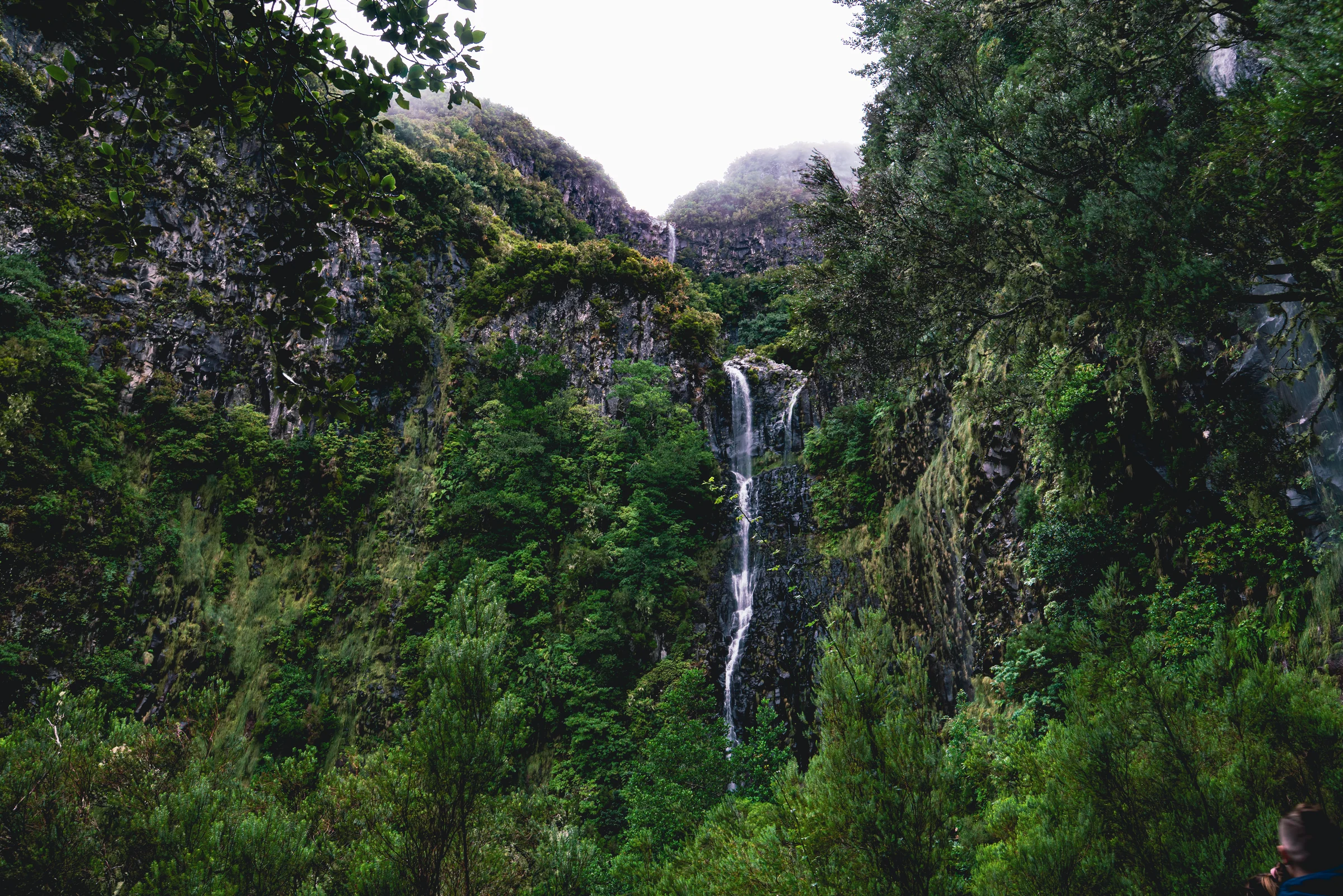 Madeira, photograph 5 of 26, by Sam Rose.