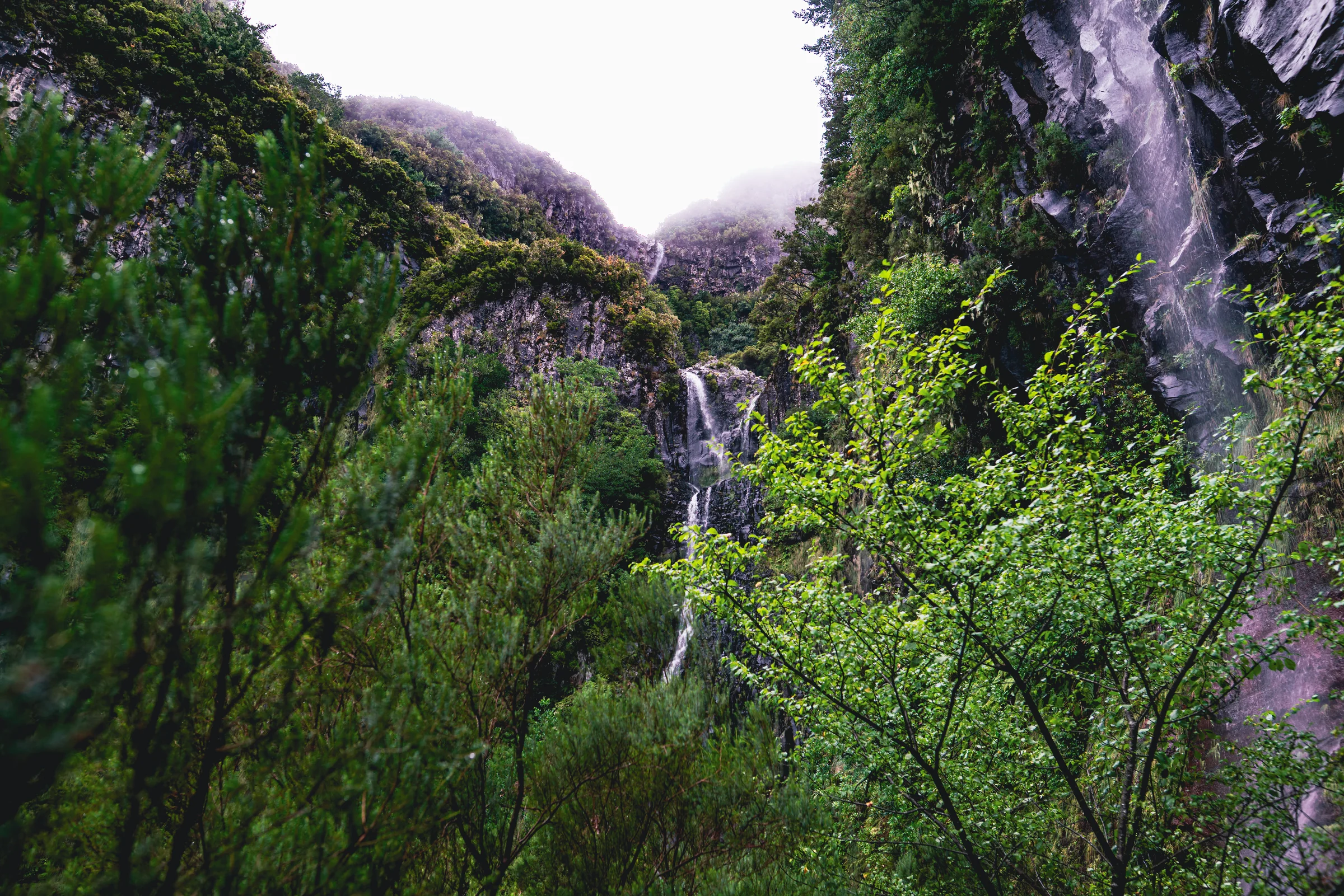 Madeira, photograph 4 of 26, by Sam Rose.