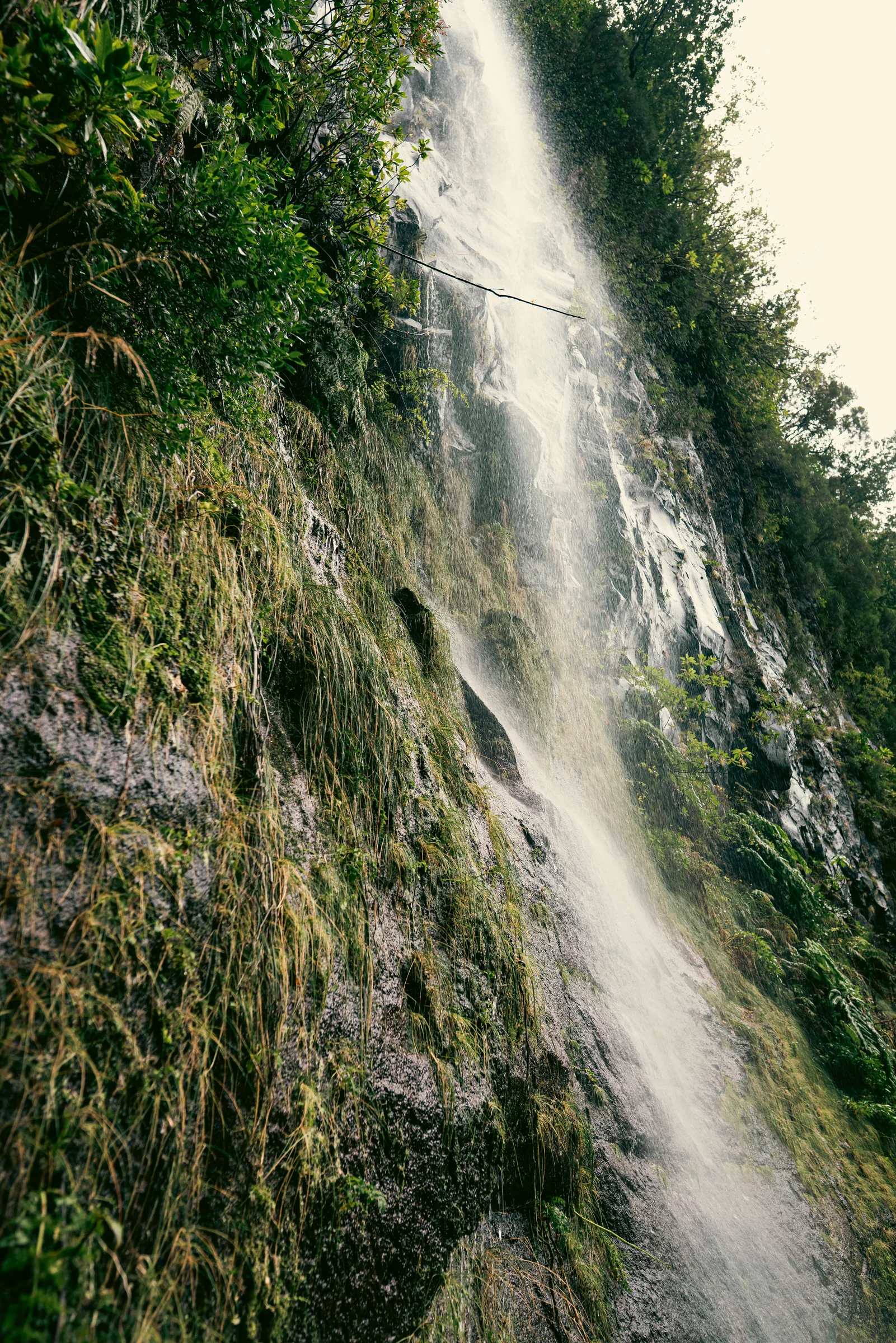 Madeira, photograph 3 of 26, by Sam Rose.
