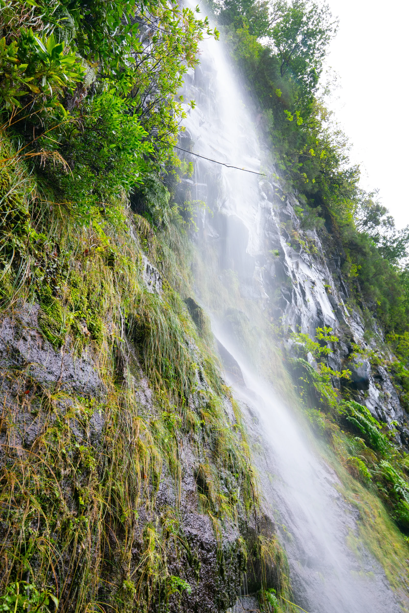 Madeira, photograph 2 of 26, by Sam Rose.