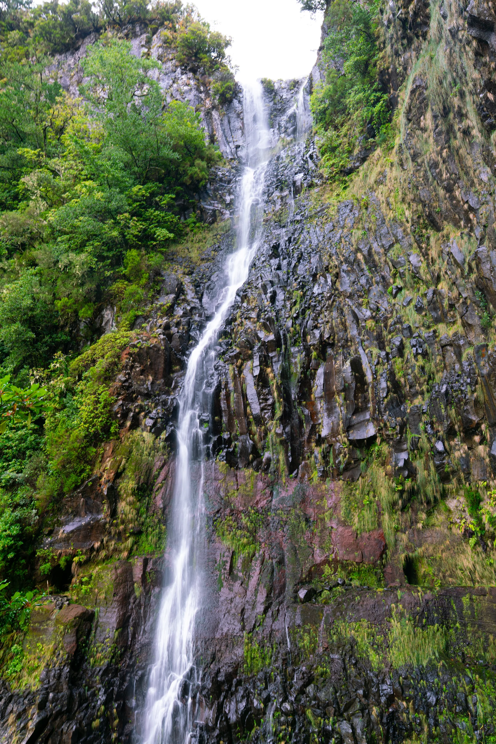 Madeira, photograph 1 of 26, by Sam Rose.