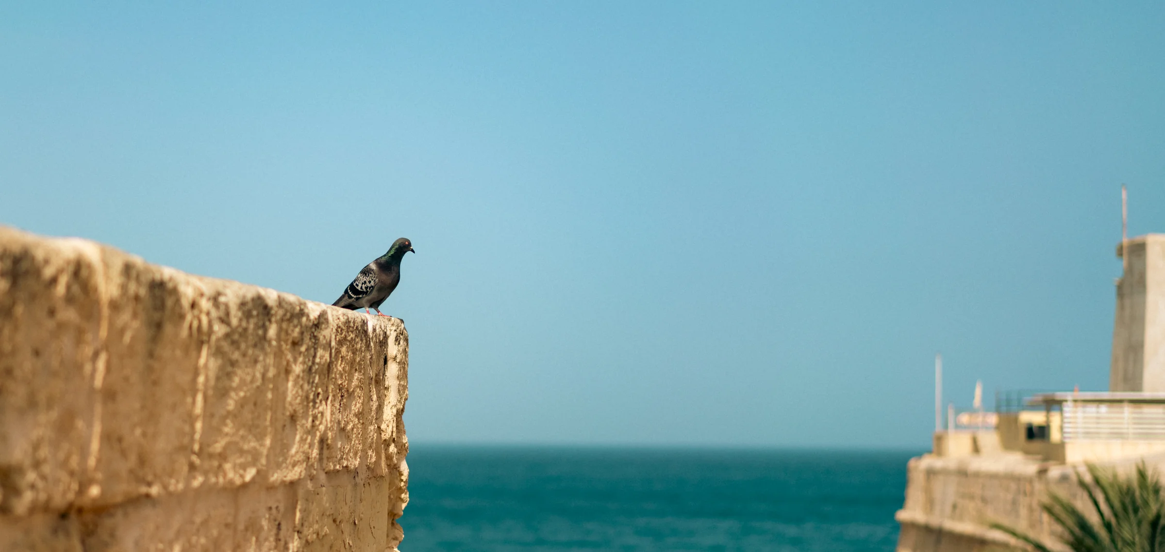 Malta, photograph 14 of 15, by Sam Rose.