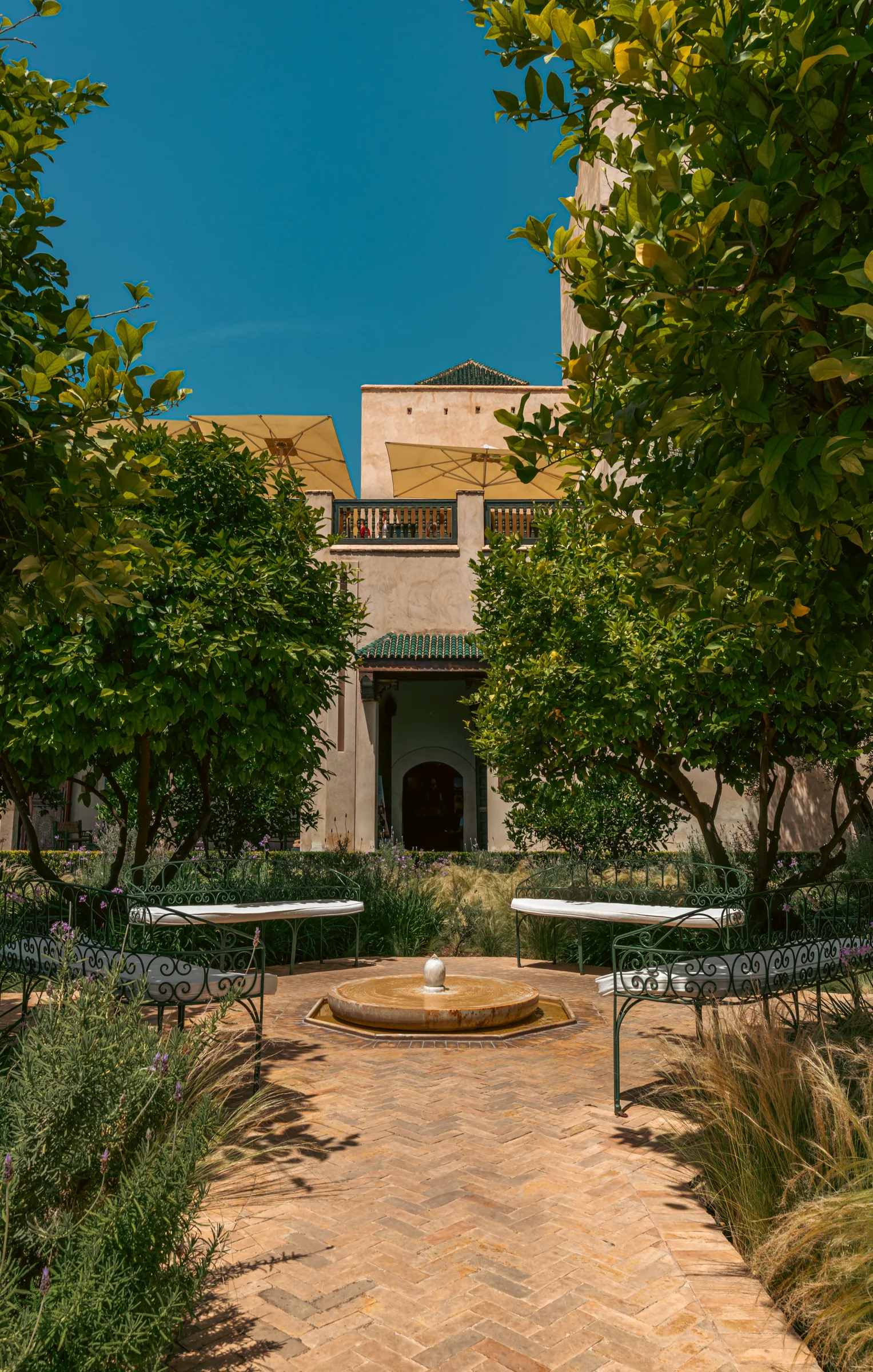Morocco, photograph 29 of 31, by Sam Rose.