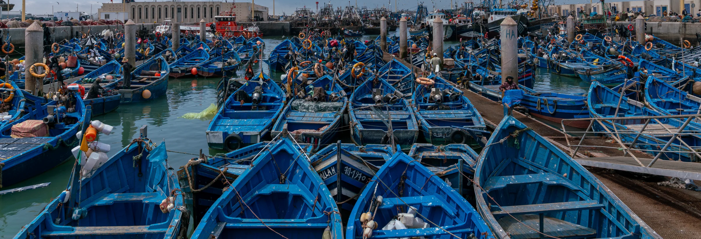 Morocco, photograph 27 of 31, by Sam Rose.