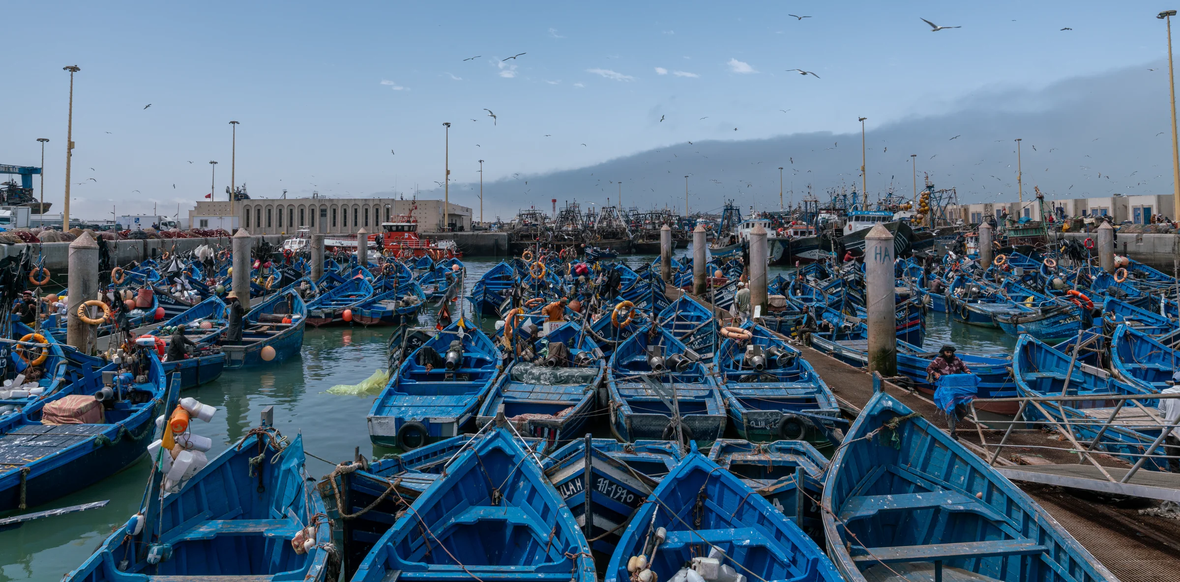 Morocco, photograph 26 of 31, by Sam Rose.