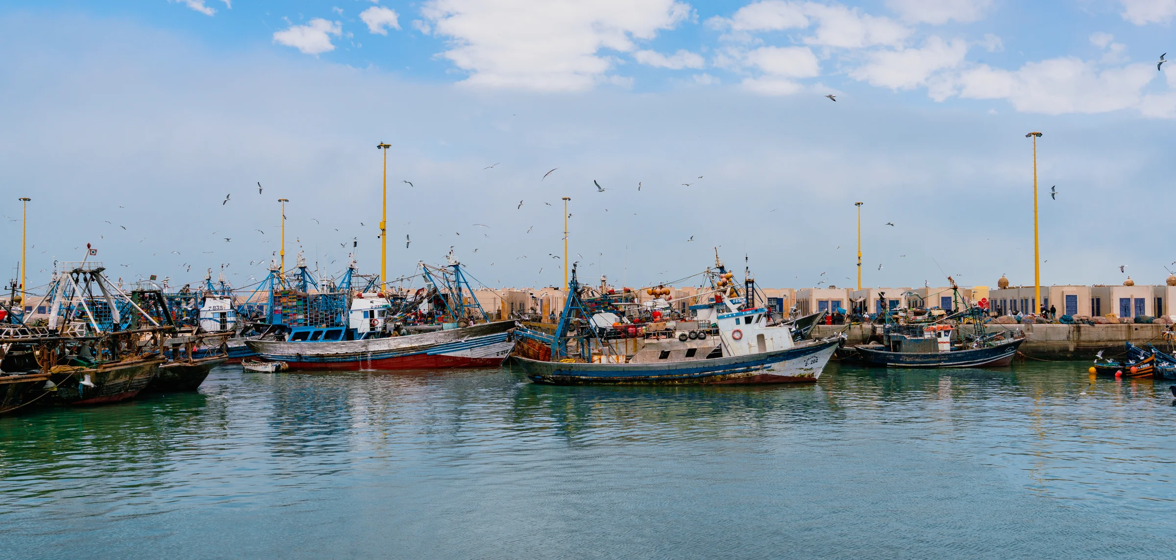 Morocco, photograph 24 of 31, by Sam Rose.