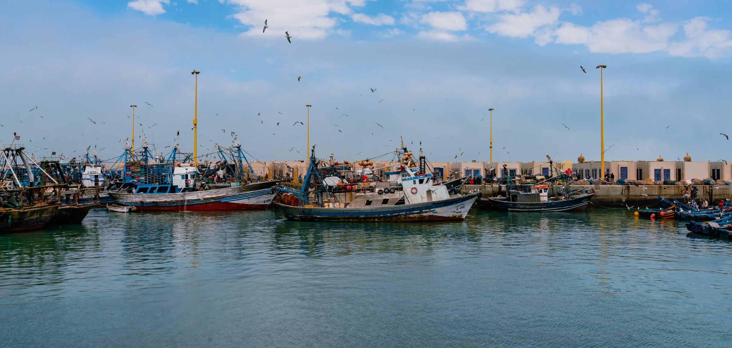 Morocco, photograph 23 of 31, by Sam Rose.