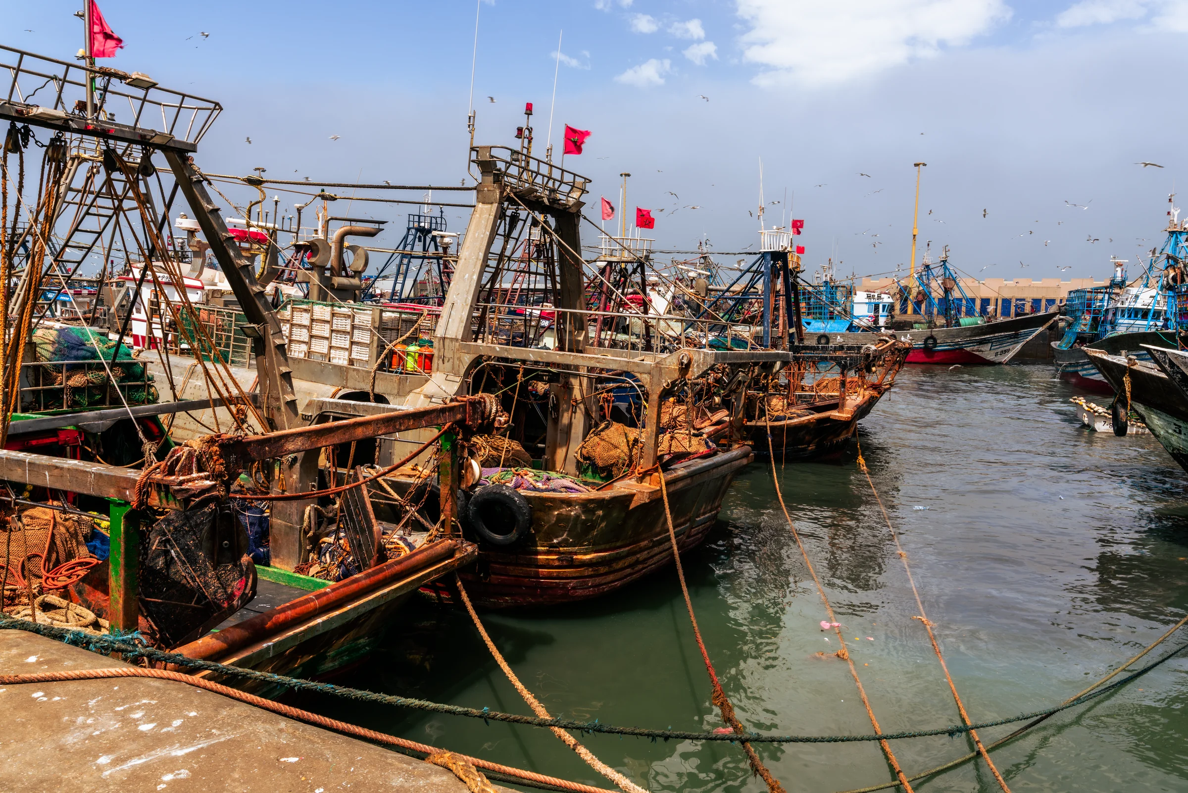 Morocco, photograph 22 of 31, by Sam Rose.