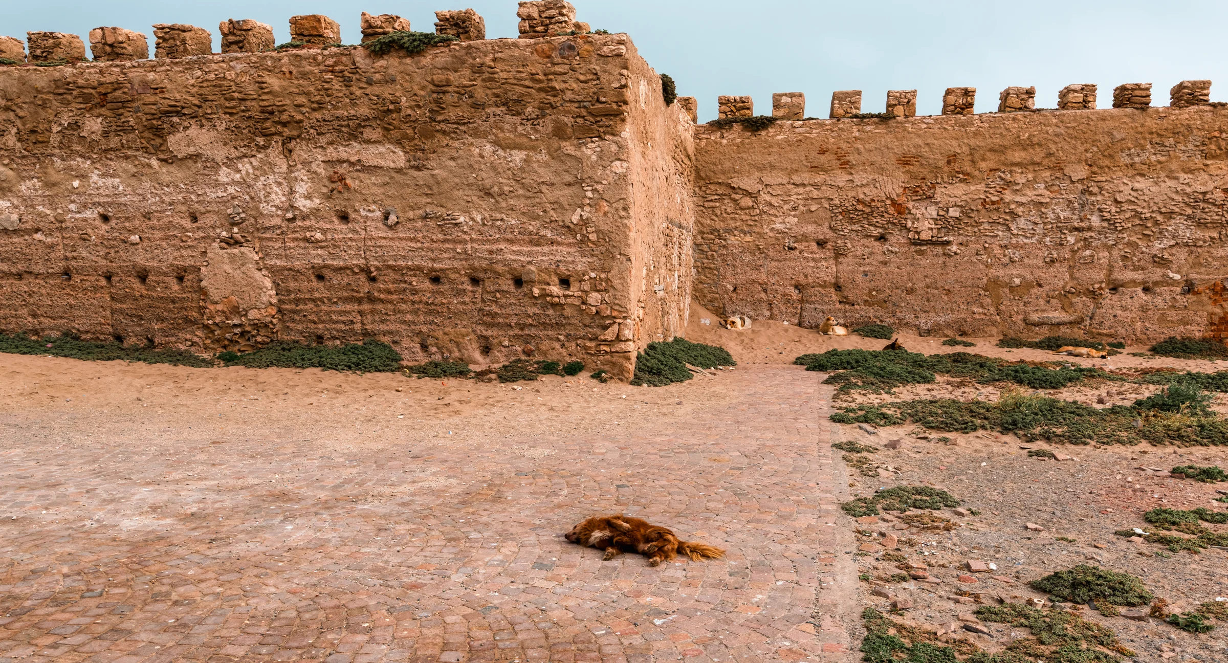 Morocco, photograph 18 of 31, by Sam Rose.