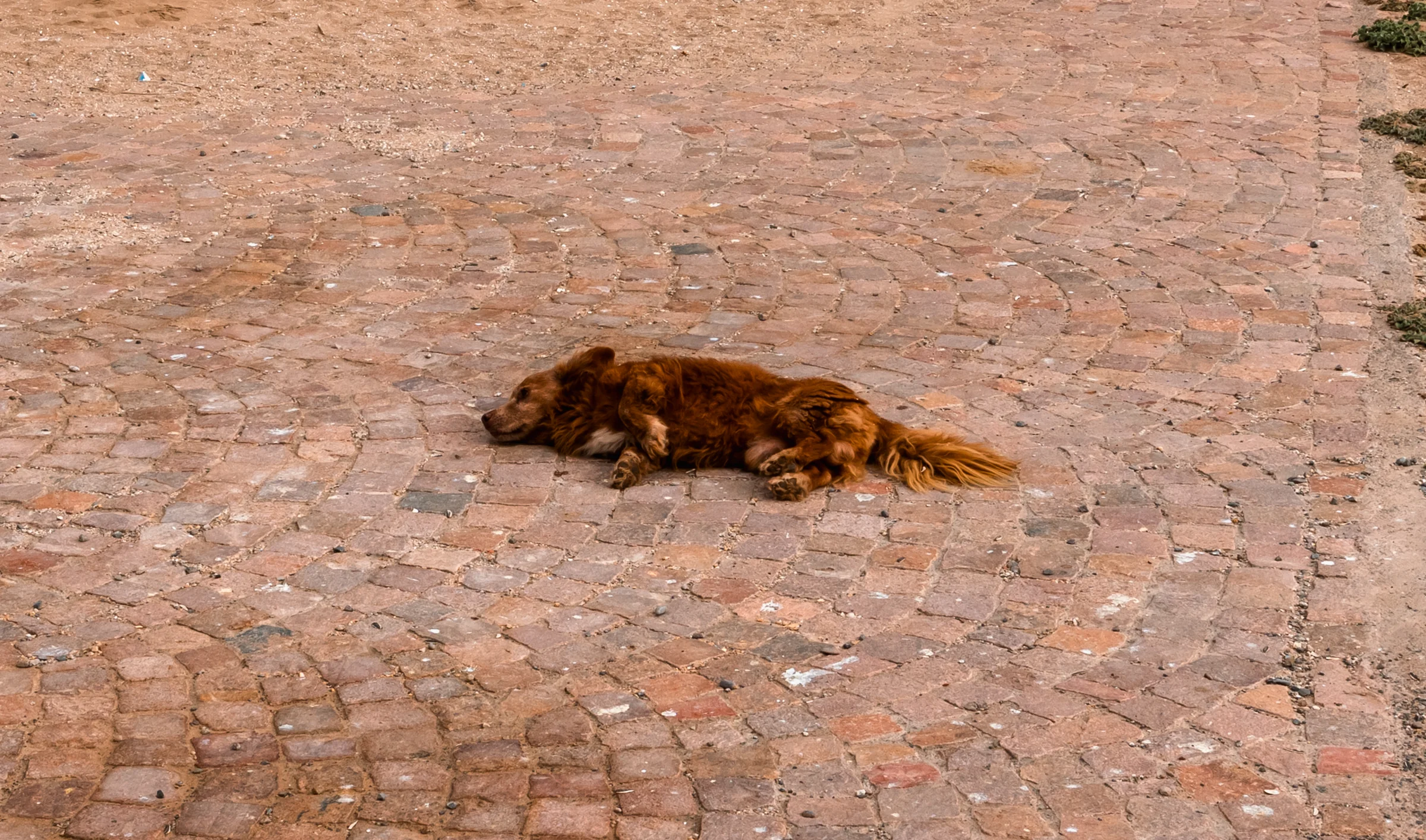 Morocco, photograph 17 of 31, by Sam Rose.