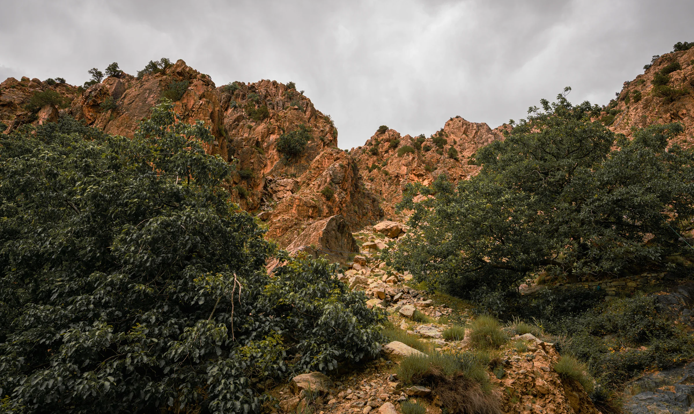 Morocco, photograph 14 of 31, by Sam Rose.