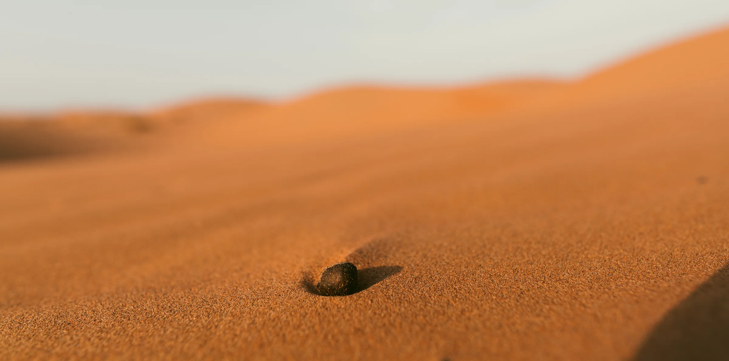Oman, photograph 19 of 23, by Sam Rose.