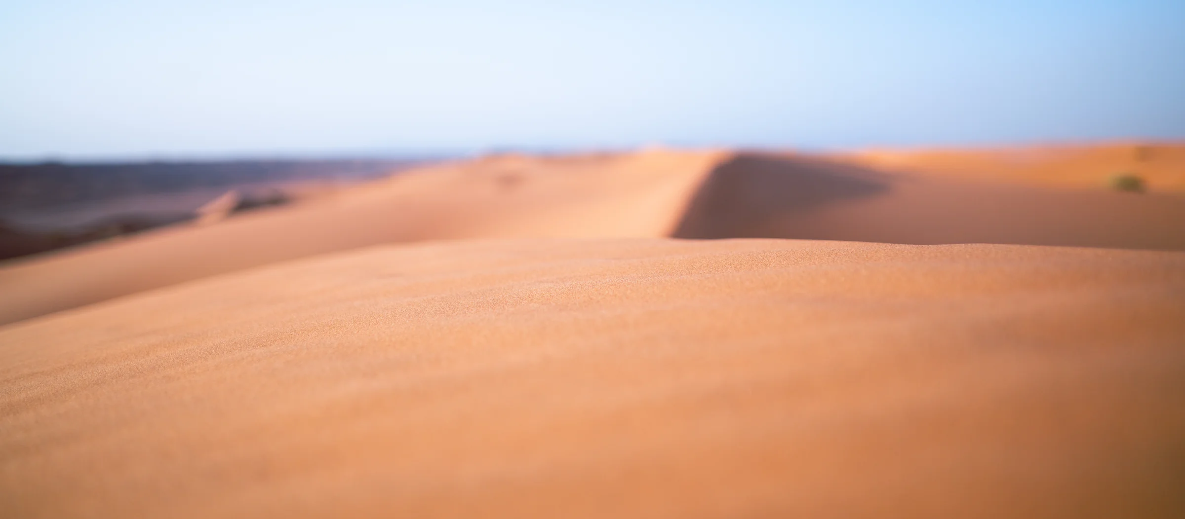 Oman, photograph 15 of 23, by Sam Rose.
