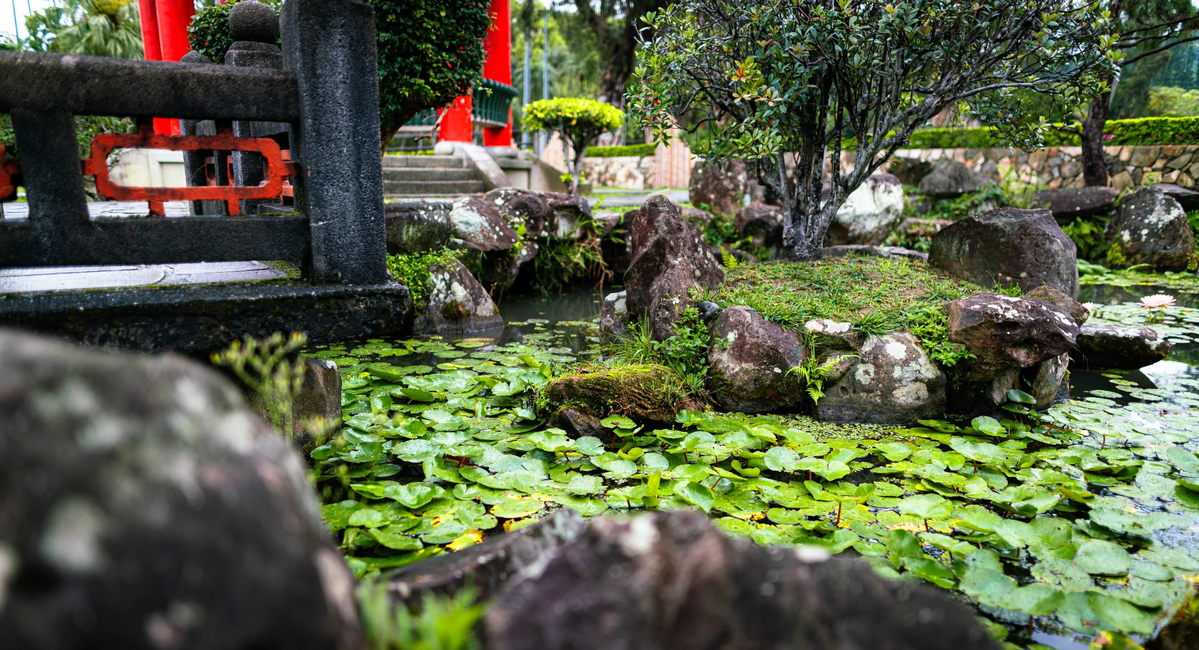 Taiwan, photograph 27 of 40, by Sam Rose.