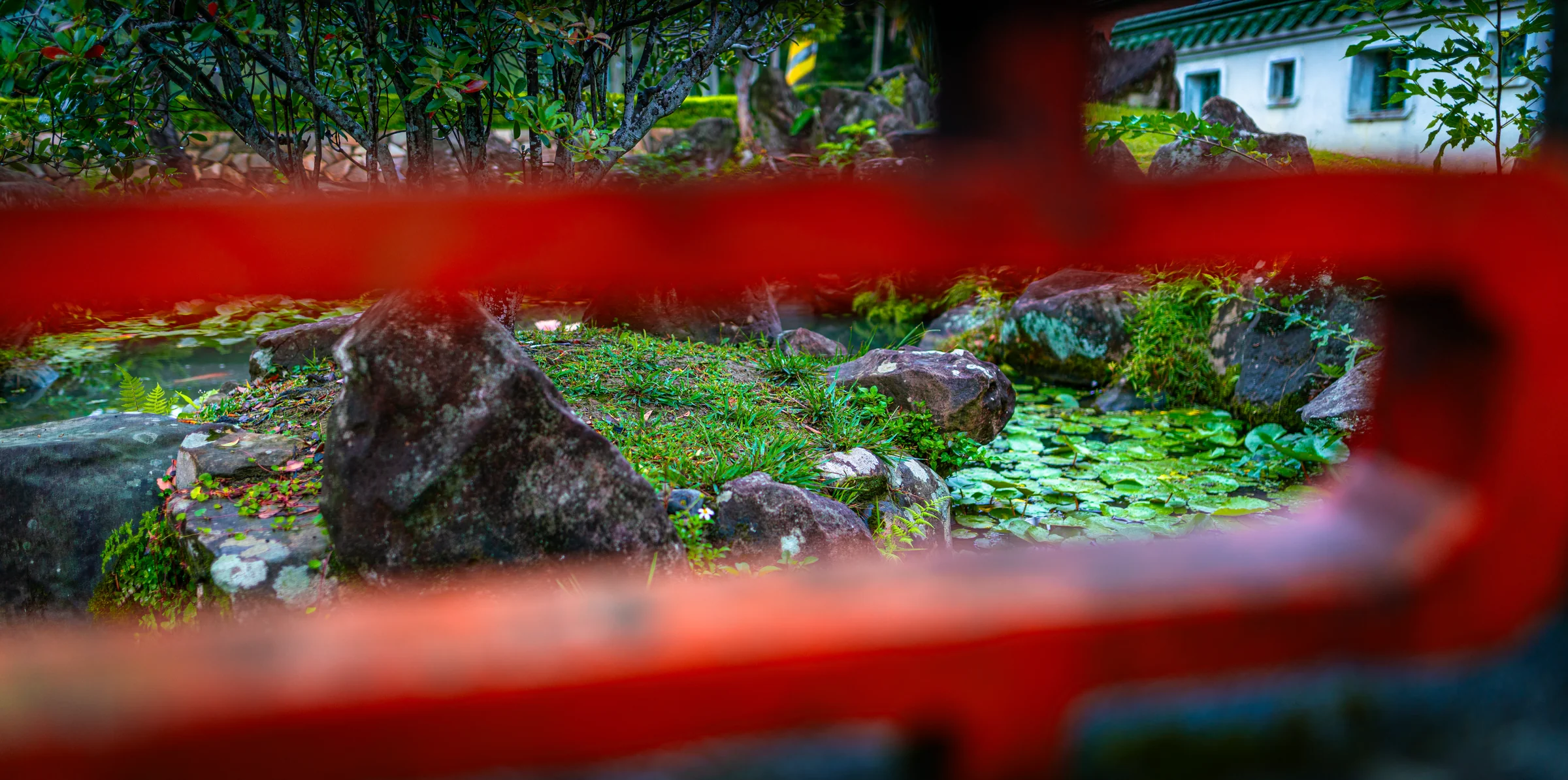 Taiwan, photograph 26 of 40, by Sam Rose.