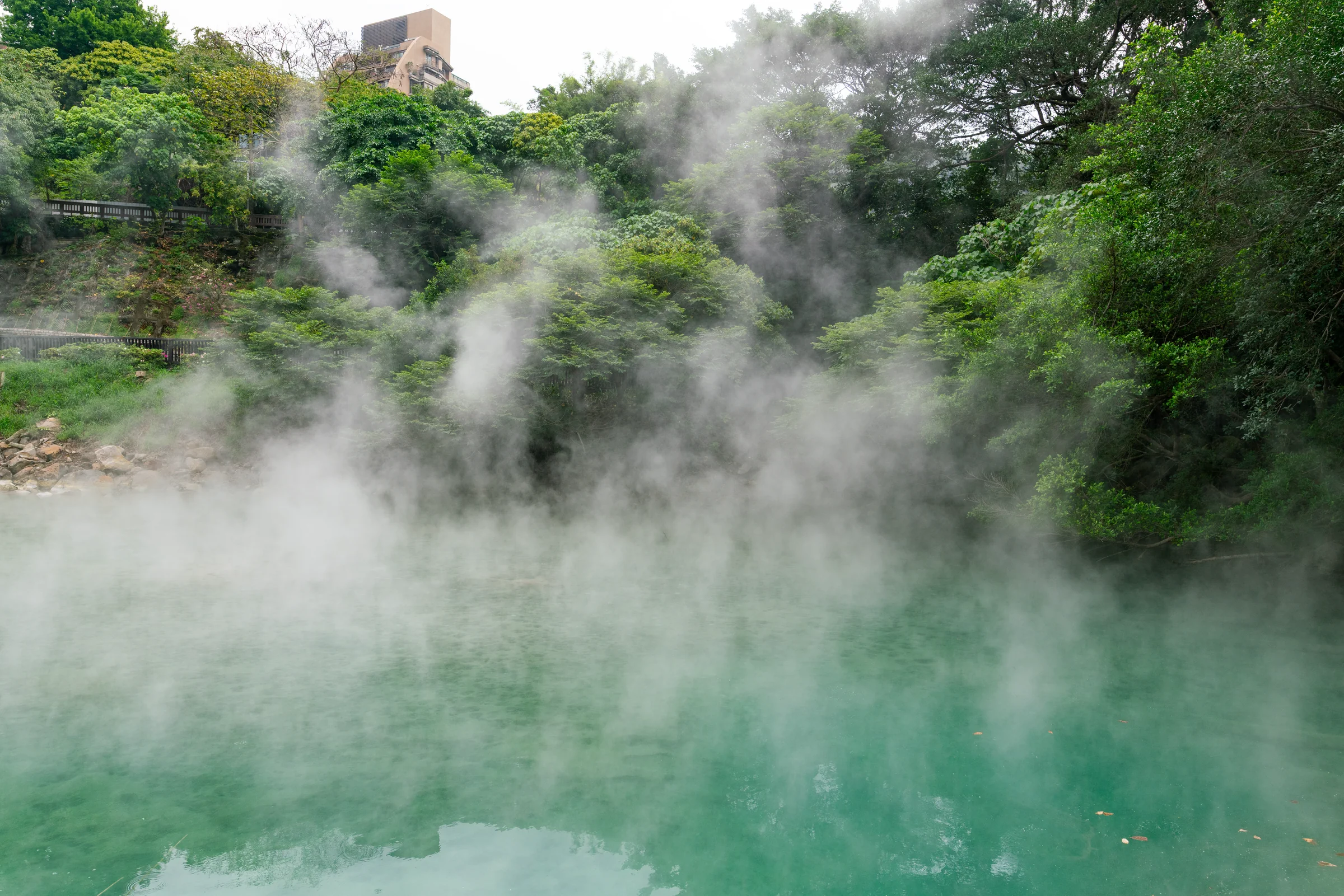 Taiwan, photograph 2 of 40, by Sam Rose.