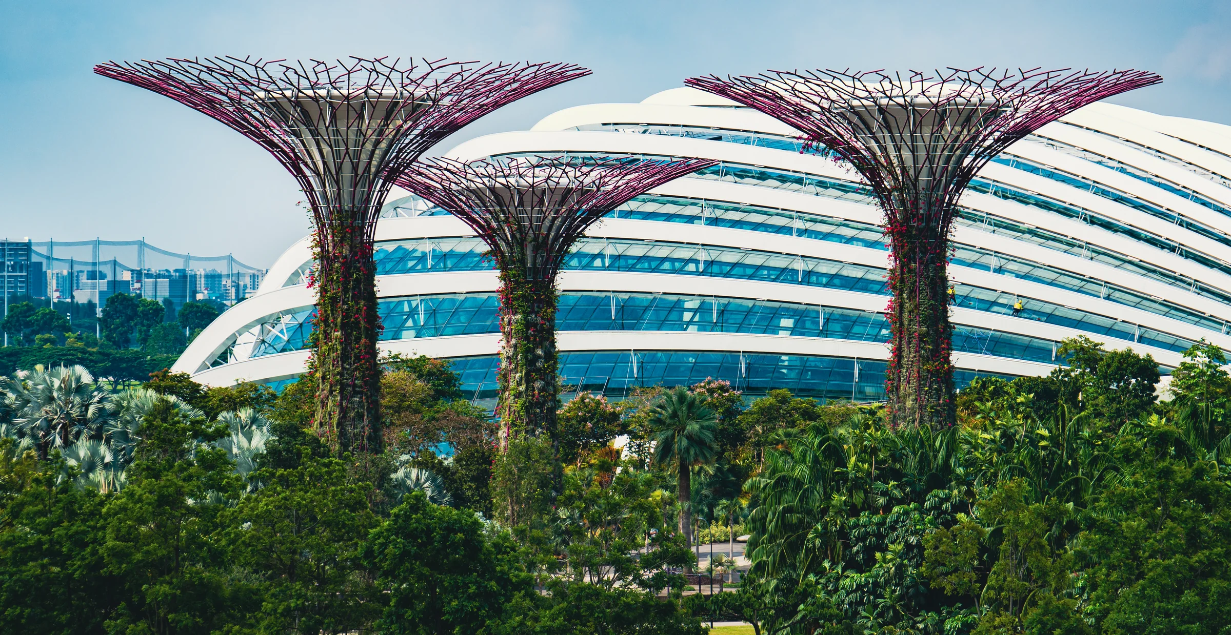 Singapore, photograph 2 of 4, by Sam Rose.