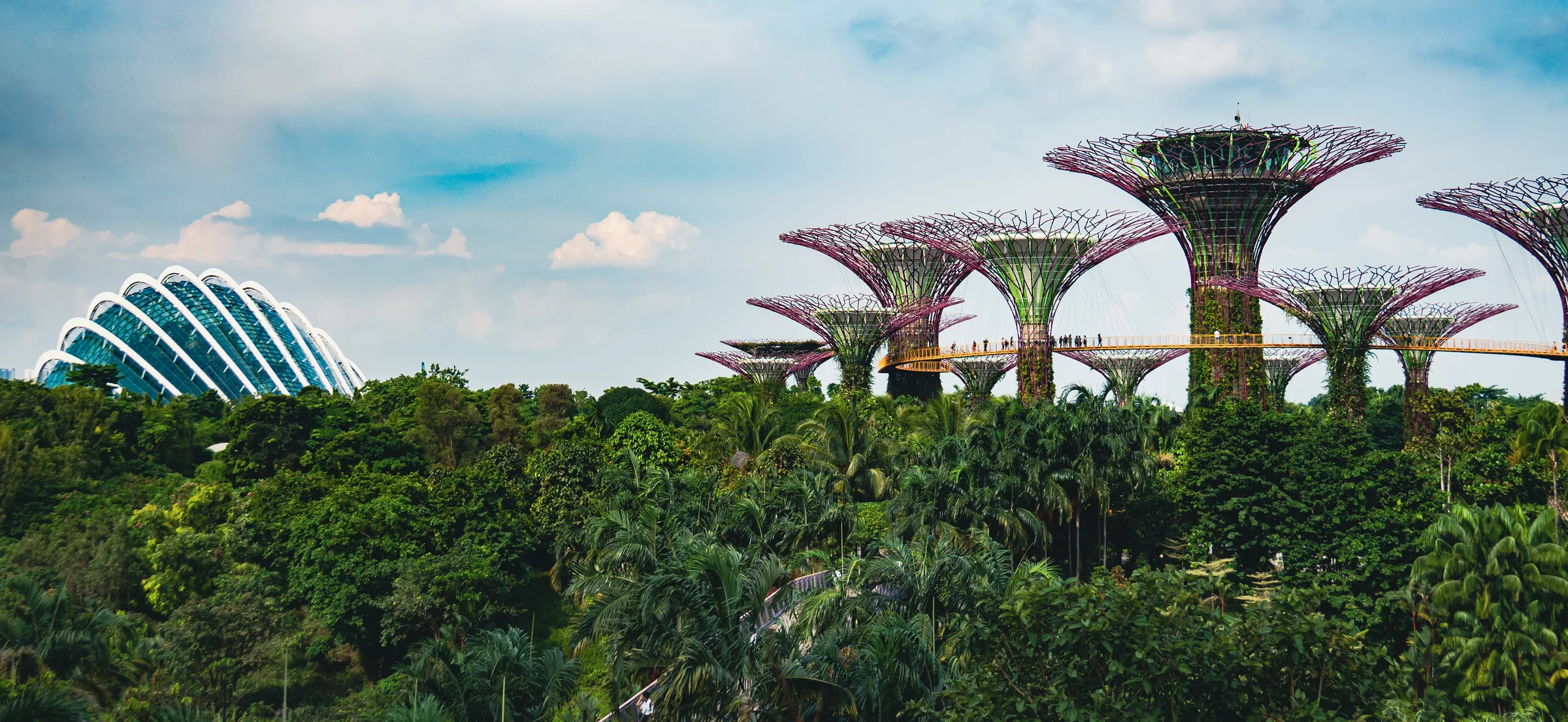 Singapore, photograph 1 of 4, by Sam Rose.