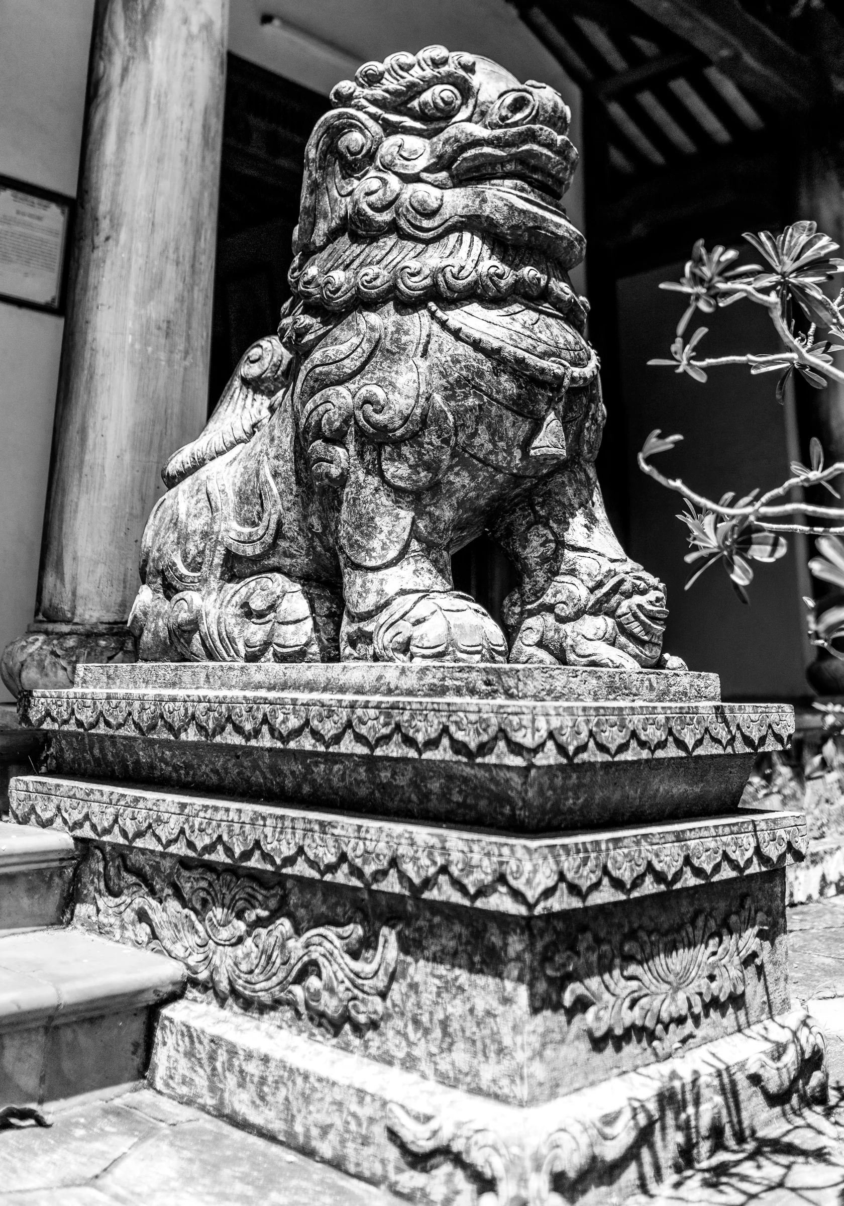 Vietnam, photograph 15 of 18, by Sam Rose.